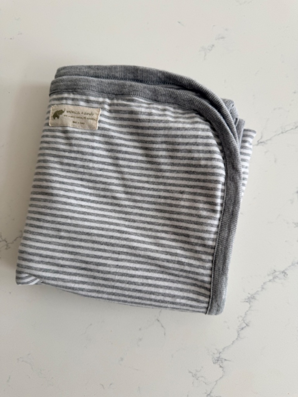 Monica and Andy Baby Blanket